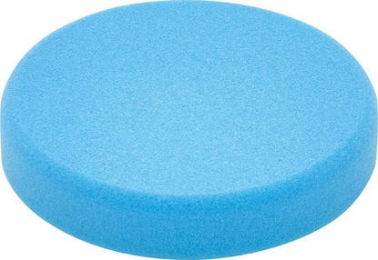 Picture of Polishing sponge PS STF D150x30 BL/5